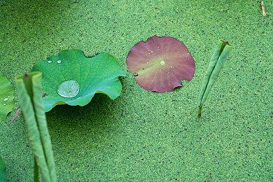 万代南梦宫取消至少五款正在开发中的游戏项目